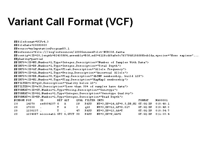 Variant Call Format (VCF) ##fileformat=VCFv 4. 3 ##file. Date=20090805 ##source=my. Imputation. Program. V 3.