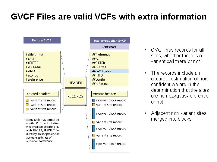 GVCF Files are valid VCFs with extra information Haplotype. Caller GVCF • GVCF has