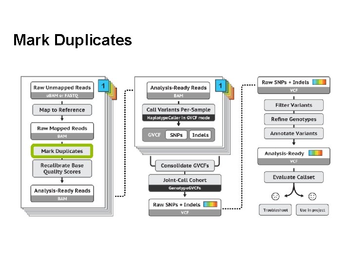 Mark Duplicates 