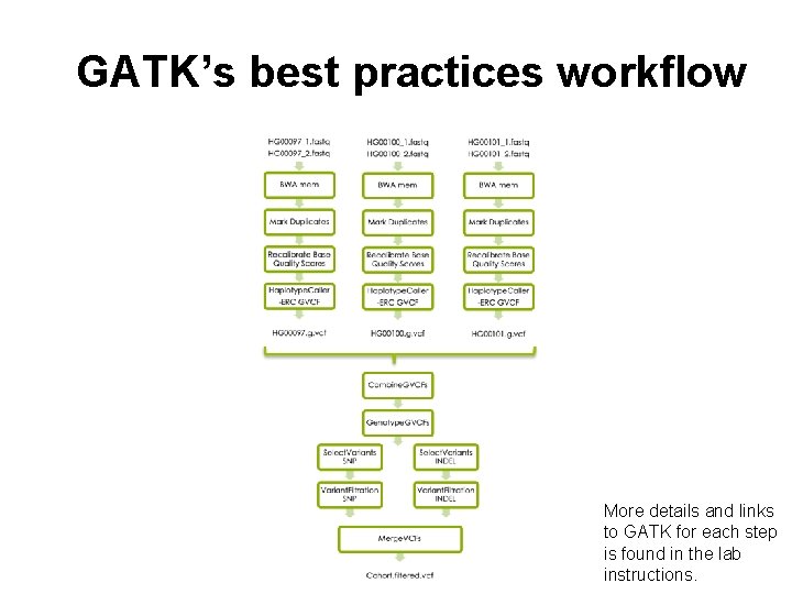 GATK’s best practices workflow More details and links to GATK for each step is