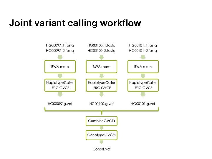 Joint variant calling workflow 51 