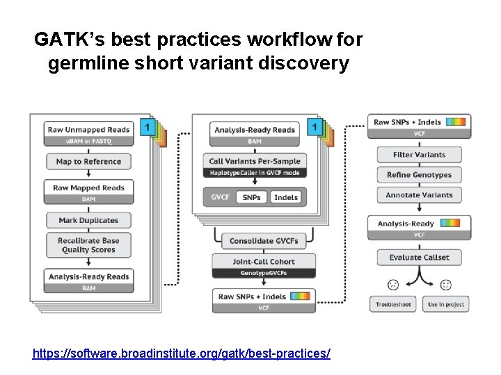 GATK’s best practices workflow for germline short variant discovery https: //software. broadinstitute. org/gatk/best-practices/ 