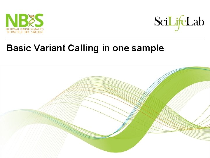 Basic Variant Calling in one sample 