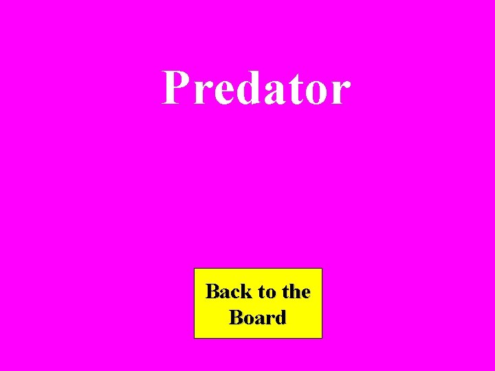 Predator Back to the Board 