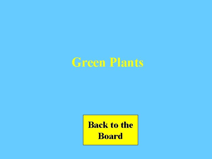 Green Plants Back to the Board 