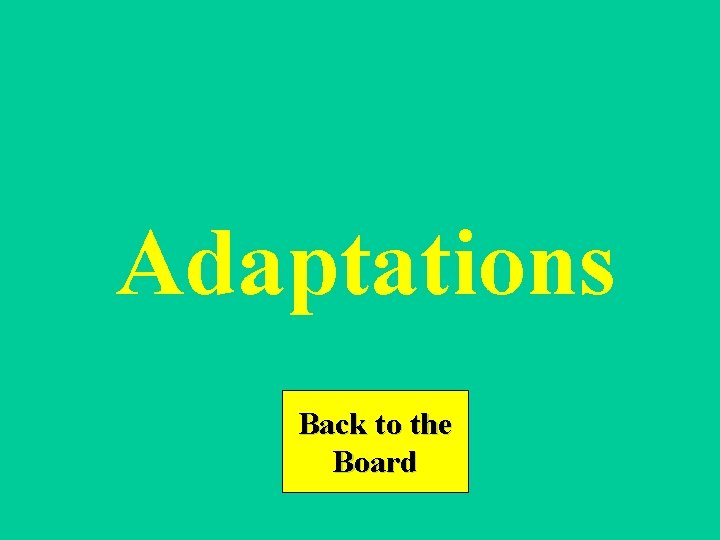 Adaptations Back to the Board 