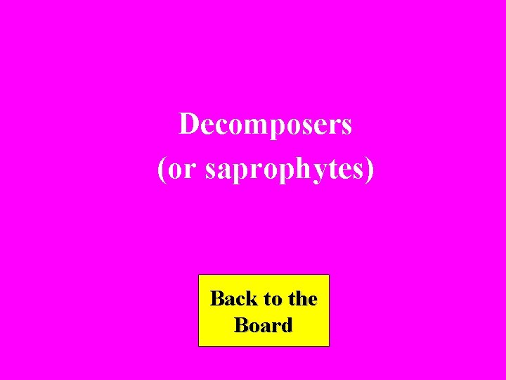 Decomposers (or saprophytes) Back to the Board 