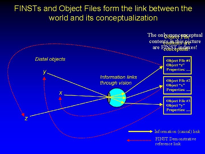 FINSTs and Object Files form the link between the world and its conceptualization The