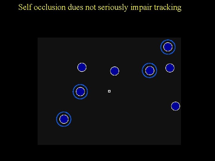 Self occlusion dues not seriously impair tracking 