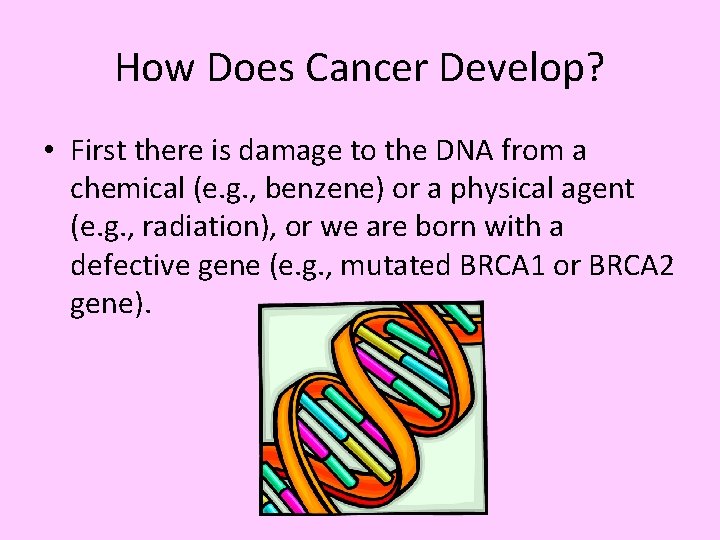 How Does Cancer Develop? • First there is damage to the DNA from a