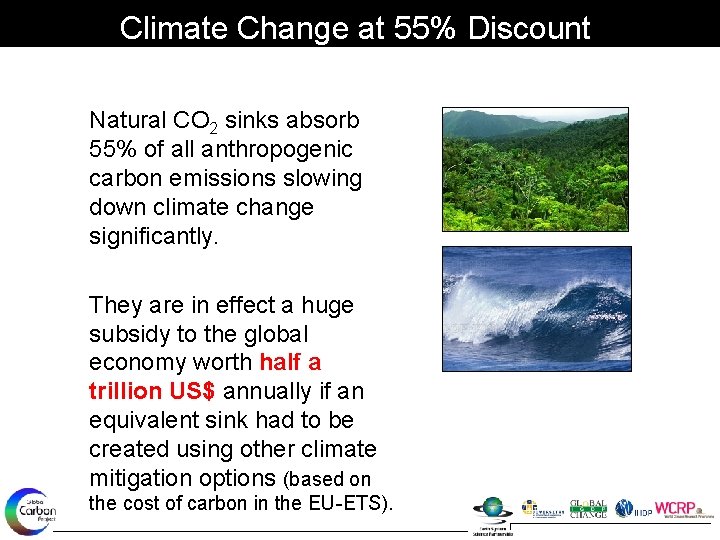 Climate Change at 55% Discount Natural CO 2 sinks absorb 55% of all anthropogenic