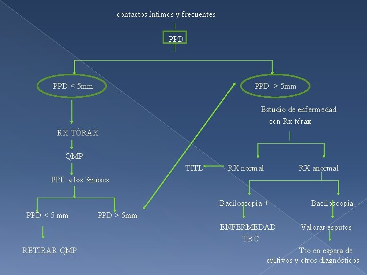 contactos íntimos y frecuentes PPD < 5 mm PPD > 5 mm Estudio de