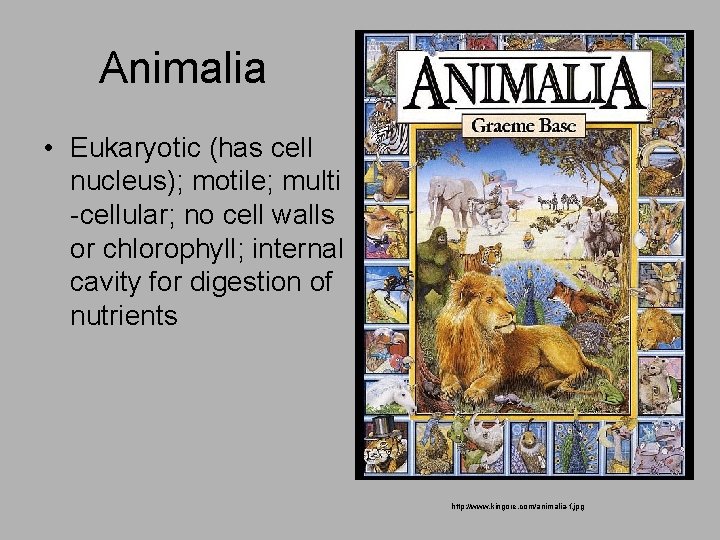 Animalia • Eukaryotic (has cell nucleus); motile; multi -cellular; no cell walls or chlorophyll;