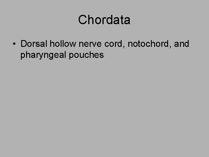 Chordata • Dorsal hollow nerve cord, notochord, and pharyngeal pouches 