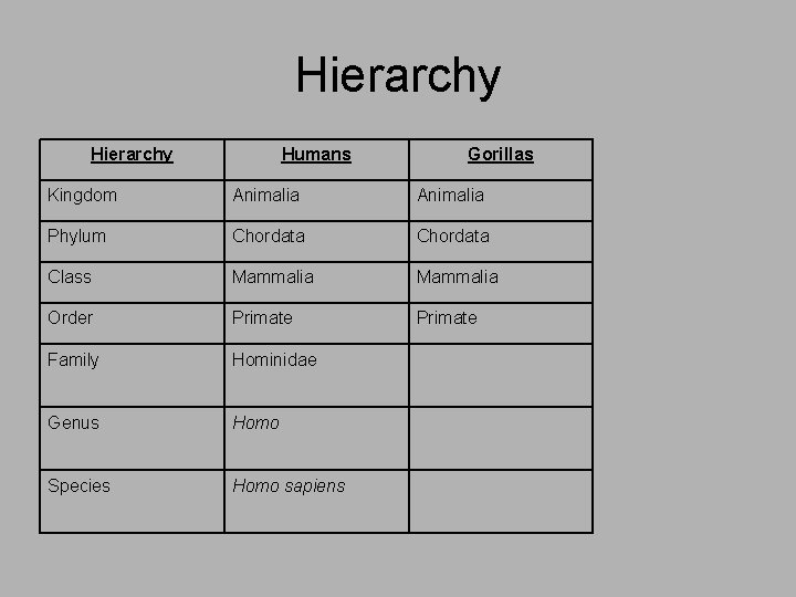 Hierarchy Humans Gorillas Kingdom Animalia Phylum Chordata Class Mammalia Order Primate Family Hominidae Genus