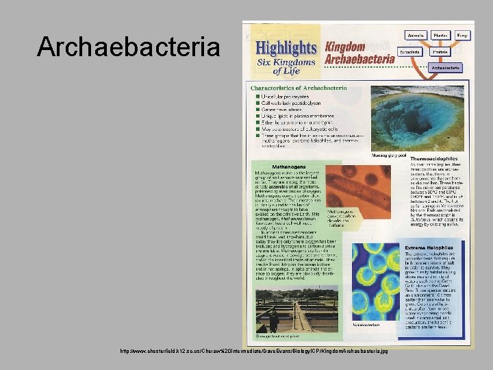 Archaebacteria http: //www. chesterfield. k 12. sc. us/Cheraw%20 Intermediate/Dave. Evans/Biology. ICP/Kingdom. Archaebacteria. jpg 
