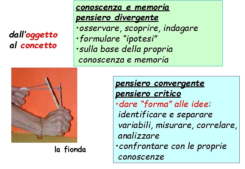 dall’oggetto al concetto conoscenza e memoria pensiero divergente • osservare, scoprire, indagare • formulare