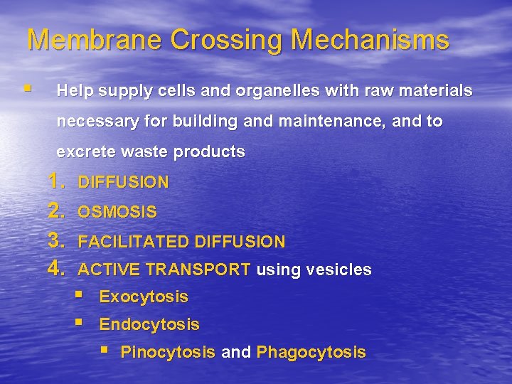 Membrane Crossing Mechanisms § Help supply cells and organelles with raw materials necessary for