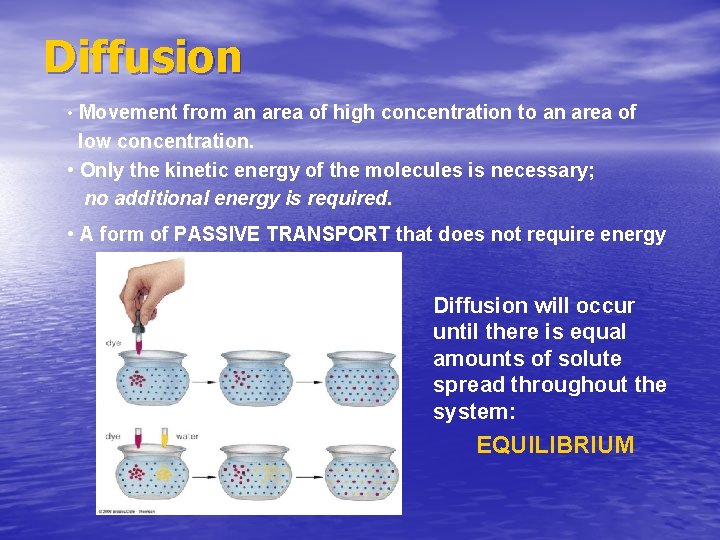 Diffusion • Movement from an area of high concentration to an area of low