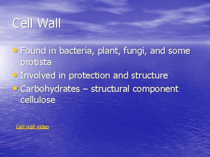 Cell Wall • Found in bacteria, plant, fungi, and some protista • Involved in