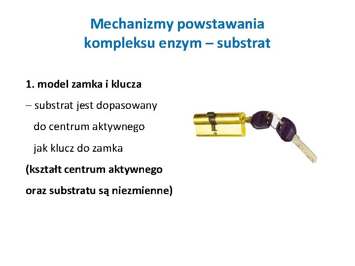 Mechanizmy powstawania kompleksu enzym – substrat 1. model zamka i klucza – substrat jest