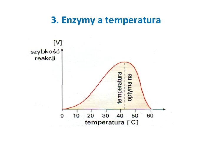 3. Enzymy a temperatura 