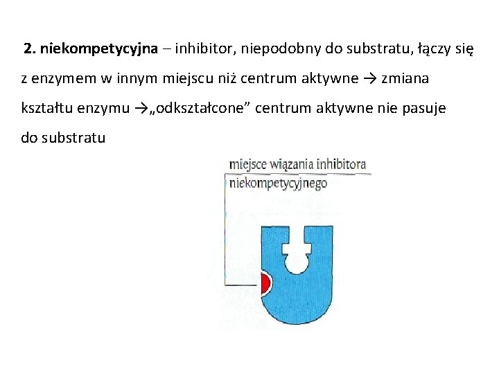 2. niekompetycyjna – inhibitor, niepodobny do substratu, łączy się z enzymem w innym miejscu