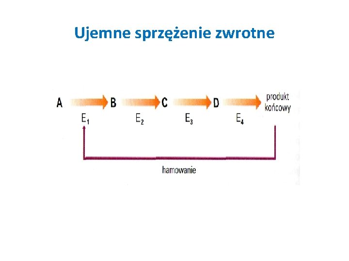 Ujemne sprzężenie zwrotne 