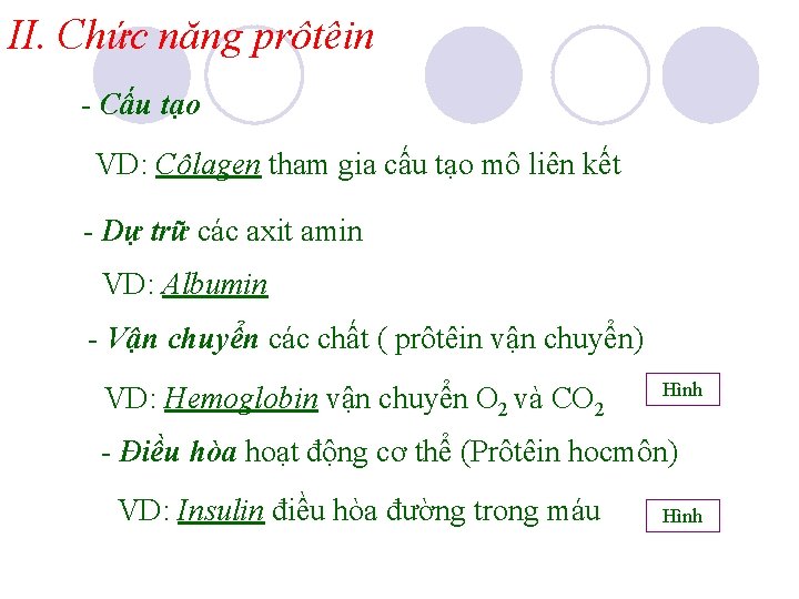 II. Chức năng prôtêin - Cấu tạo VD: Côlagen tham gia cấu tạo mô