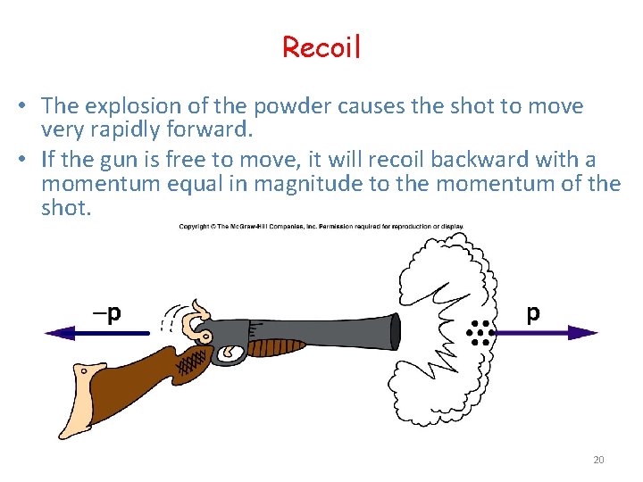 Recoil • The explosion of the powder causes the shot to move very rapidly
