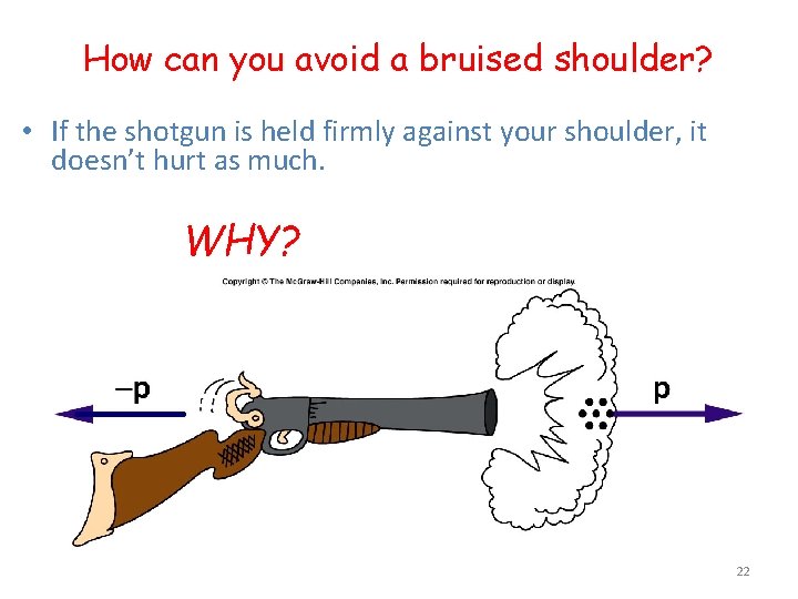 How can you avoid a bruised shoulder? • If the shotgun is held firmly