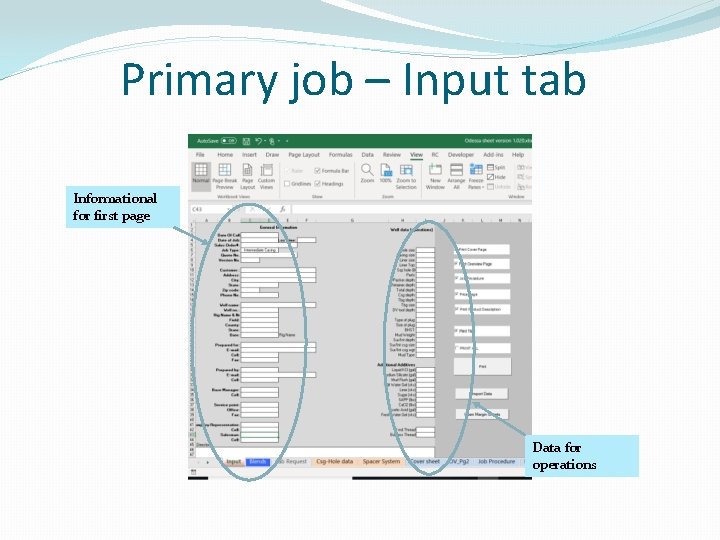 Primary job – Input tab Informational for first page Data for operations 