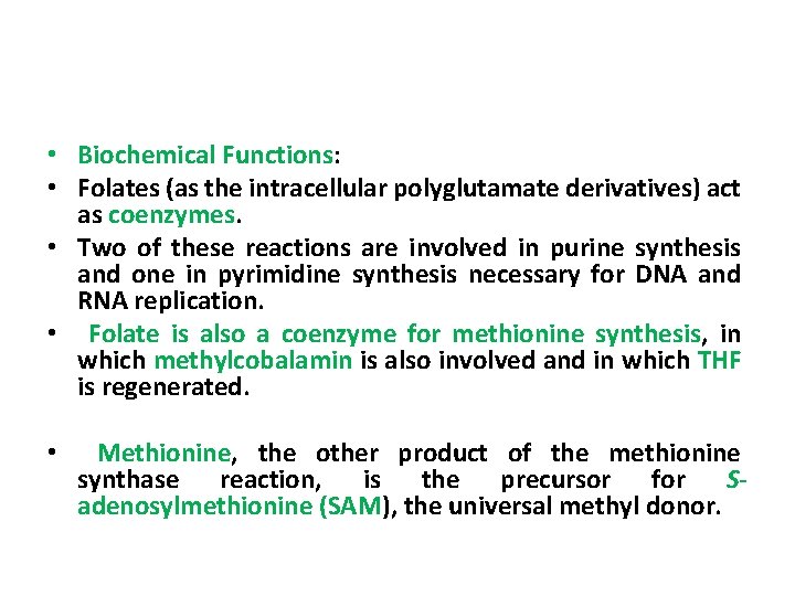  • Biochemical Functions: • Folates (as the intracellular polyglutamate derivatives) act as coenzymes.