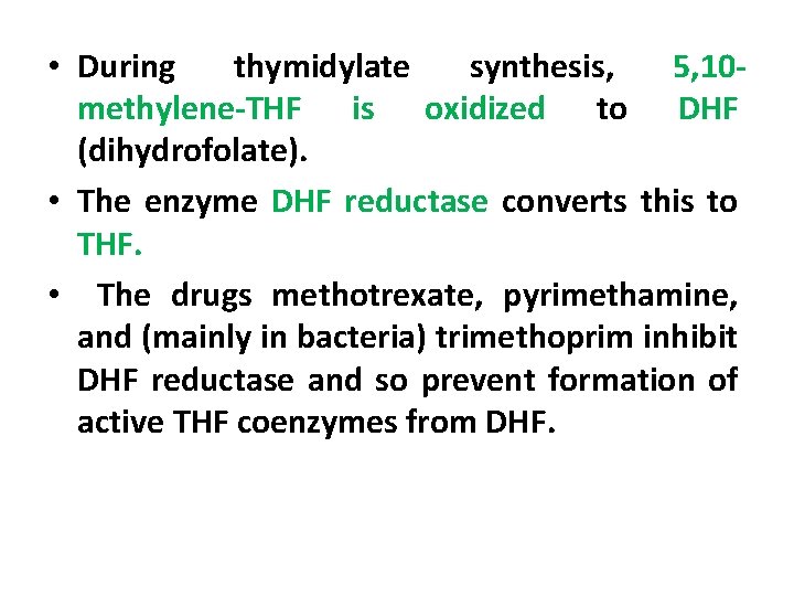  • During thymidylate synthesis, 5, 10 methylene-THF is oxidized to DHF (dihydrofolate). •