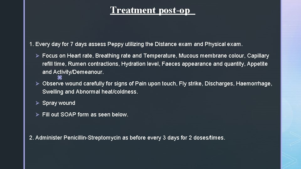 Treatment post-op 1. Every day for 7 days assess Peppy utilizing the Distance exam