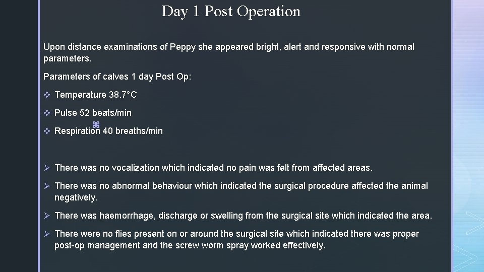 Day 1 Post Operation Upon distance examinations of Peppy she appeared bright, alert and