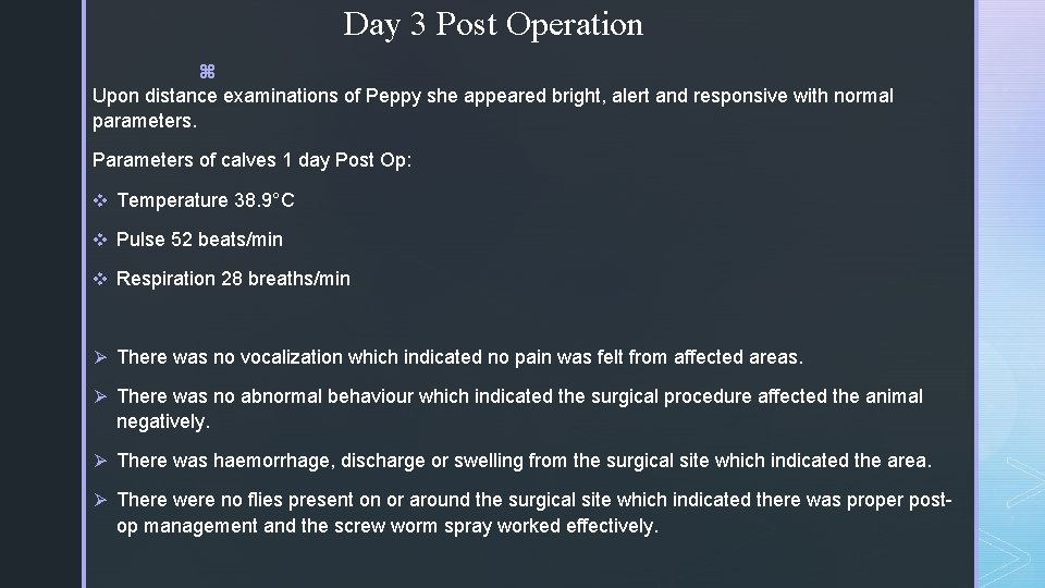 Day 3 Post Operation z Upon distance examinations of Peppy she appeared bright, alert