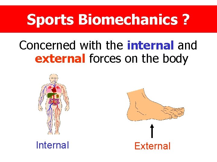 Sports Biomechanics ? ? Concerned with the internal and external forces on the body