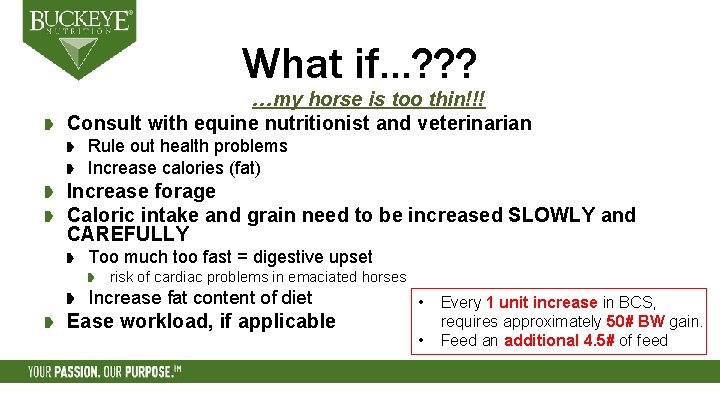What if…? ? ? …my horse is too thin!!! Consult with equine nutritionist and