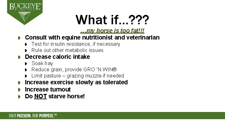 What if…? ? ? …my horse is too fat!!! Consult with equine nutritionist and