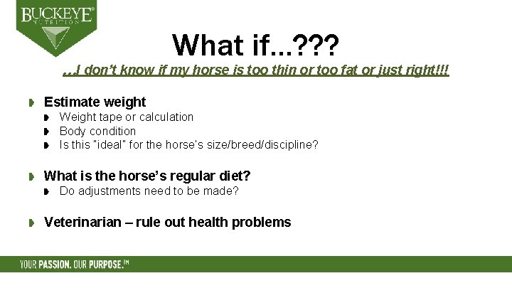 What if…? ? ? …I don’t know if my horse is too thin or