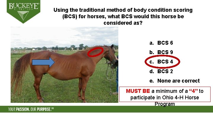 Using the traditional method of body condition scoring (BCS) for horses, what BCS would