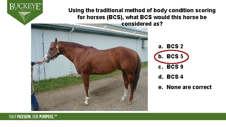 Using the traditional method of body condition scoring for horses (BCS), what BCS would
