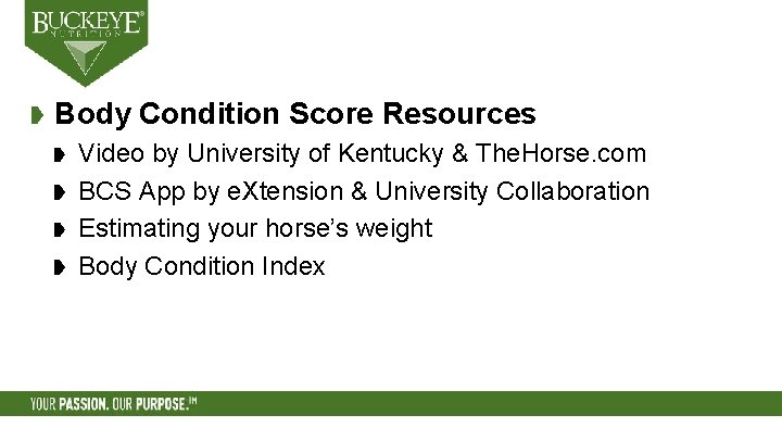 Body Condition Score Resources Video by University of Kentucky & The. Horse. com BCS