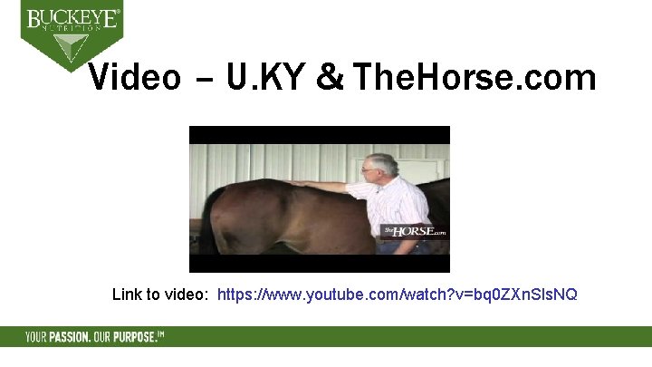 Video – U. KY & The. Horse. com Link to video: https: //www. youtube.