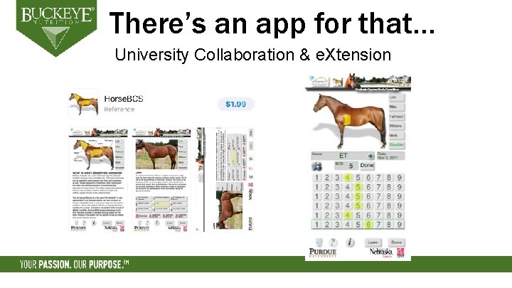 There’s an app for that… University Collaboration & e. Xtension 