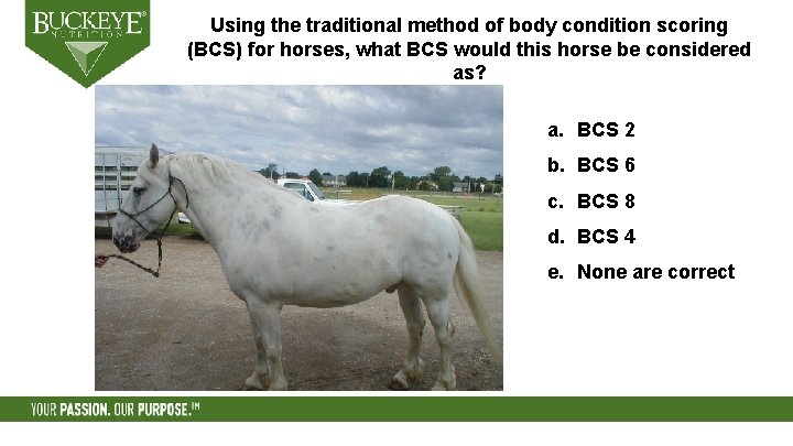 Using the traditional method of body condition scoring (BCS) for horses, what BCS would