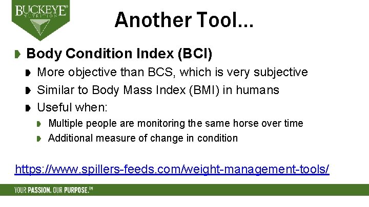 Another Tool… Body Condition Index (BCI) More objective than BCS, which is very subjective