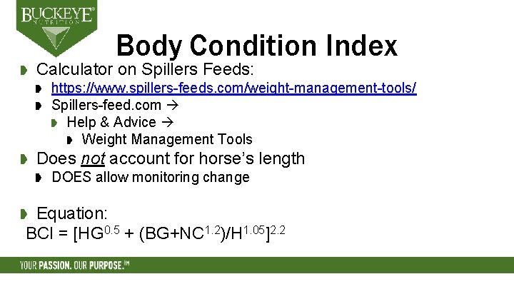 Body Condition Index Calculator on Spillers Feeds: https: //www. spillers-feeds. com/weight-management-tools/ Spillers-feed. com Help