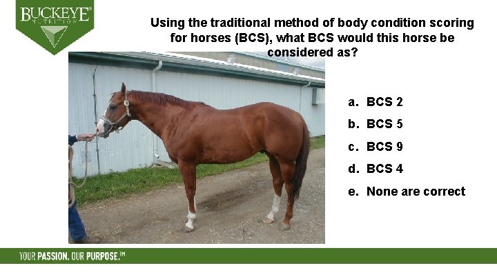 Using the traditional method of body condition scoring for horses (BCS), what BCS would